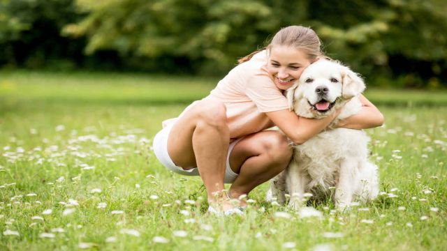 KEDİ VE KÖPEKLERE DIŞ PARAZİT DAMLASI YAPTIRMAYI İHMAL ETMEYİN