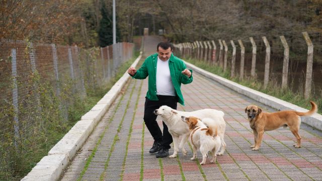 SOKAK HAYVANLARI İÇİN KONSER DÜZENLEYECEK